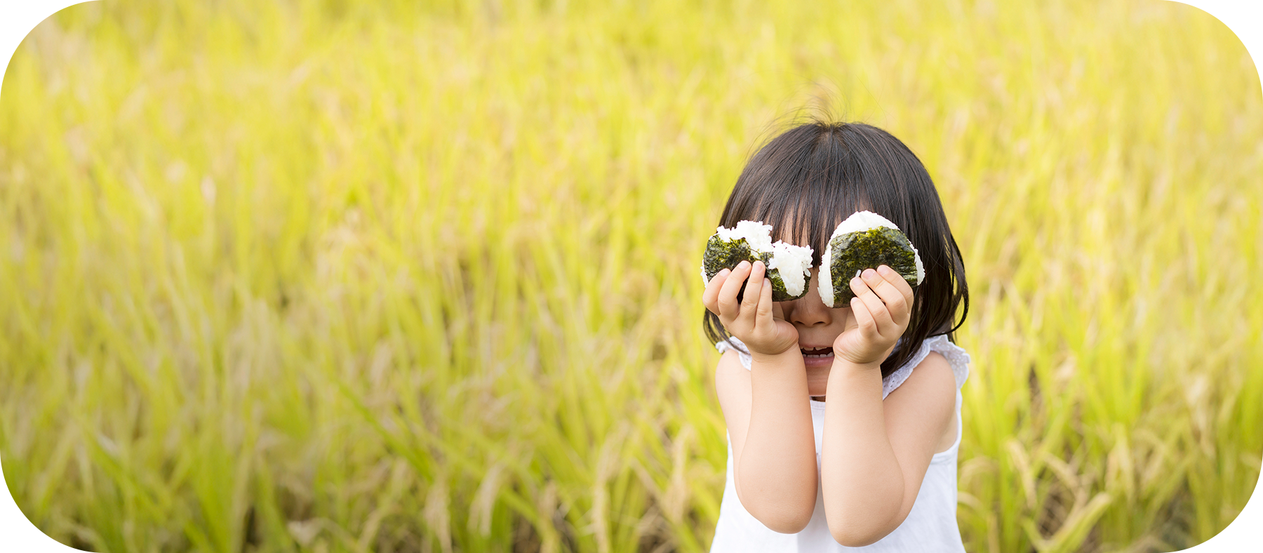 つきの木株式会社